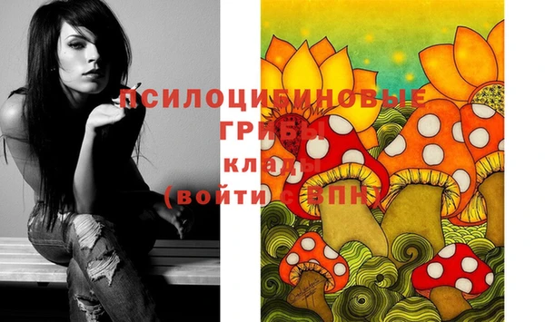 дурь Аркадак