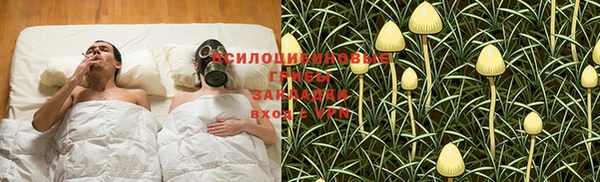 прущая мука Армянск